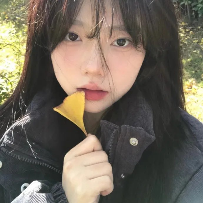 月亮不曾拥抱你